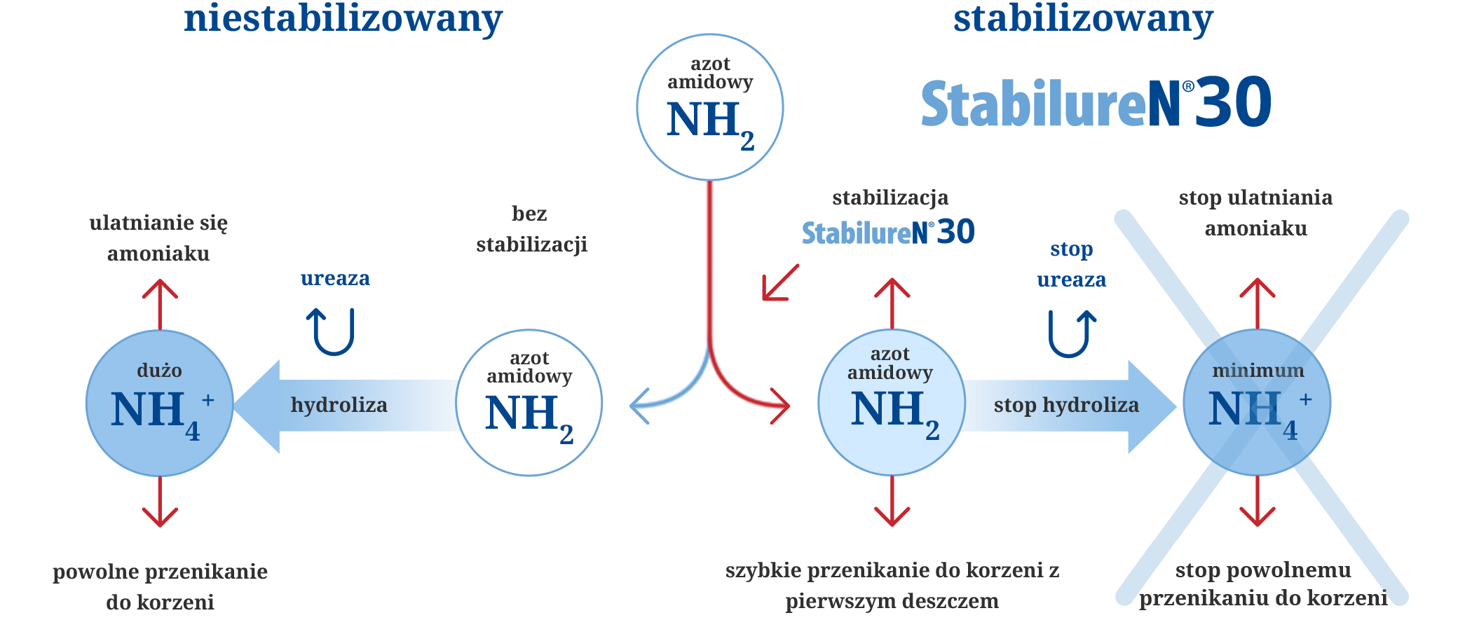 stabiluren